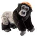 Anima Peluche Gorille - 24 cm